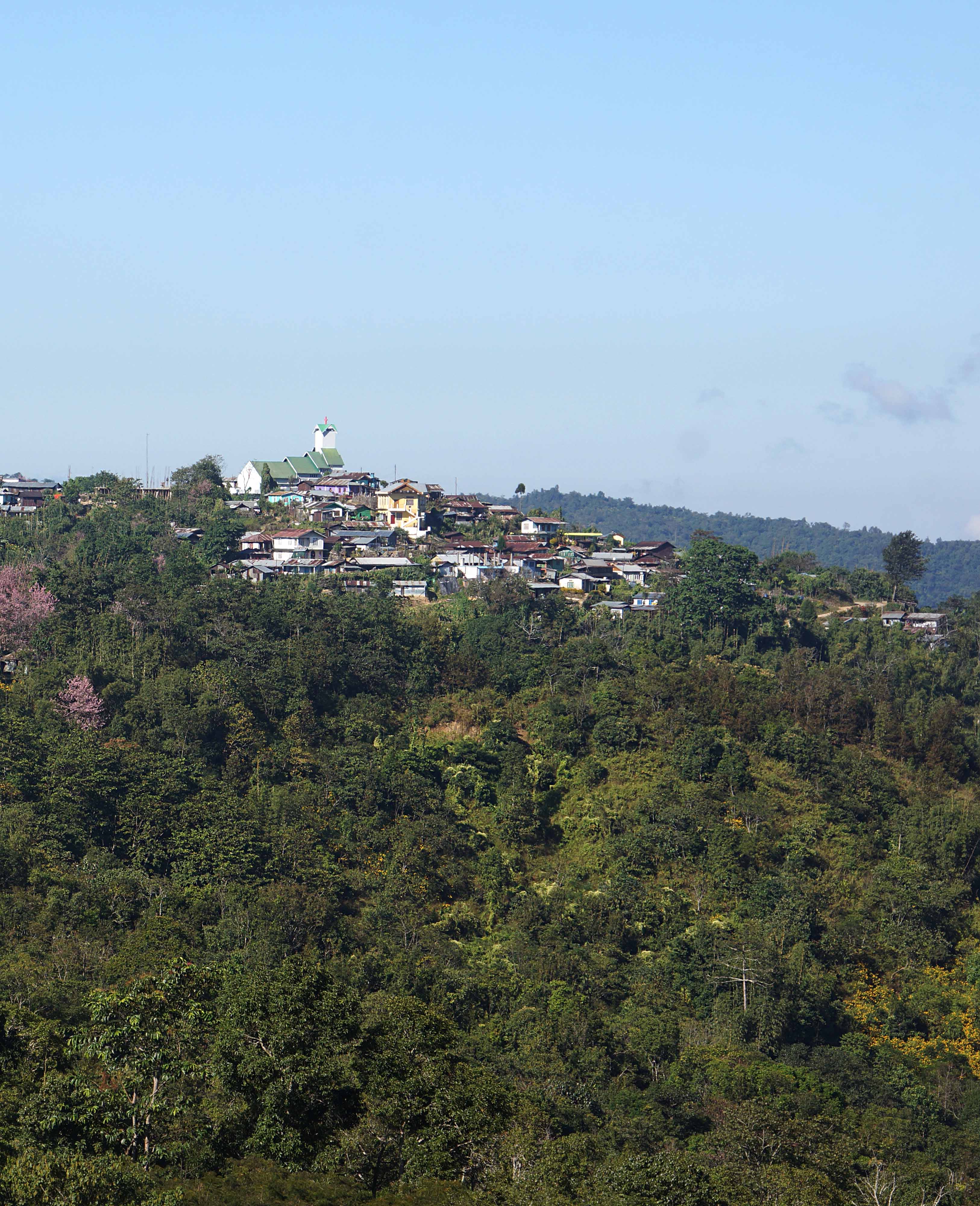 coffee-estate-drone-shot